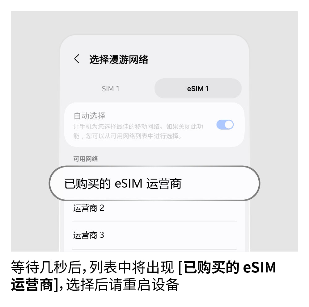 手动选择网络