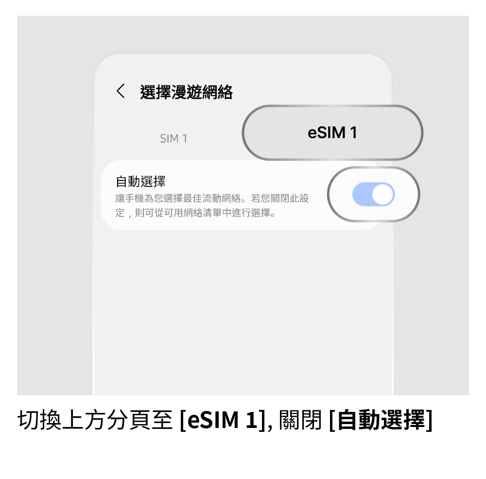 手動選擇網路