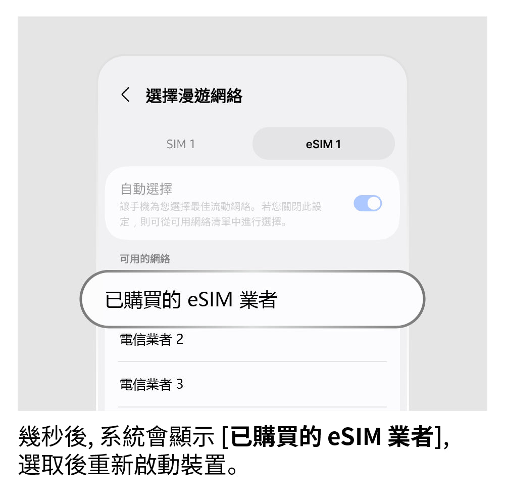 手動選擇網路