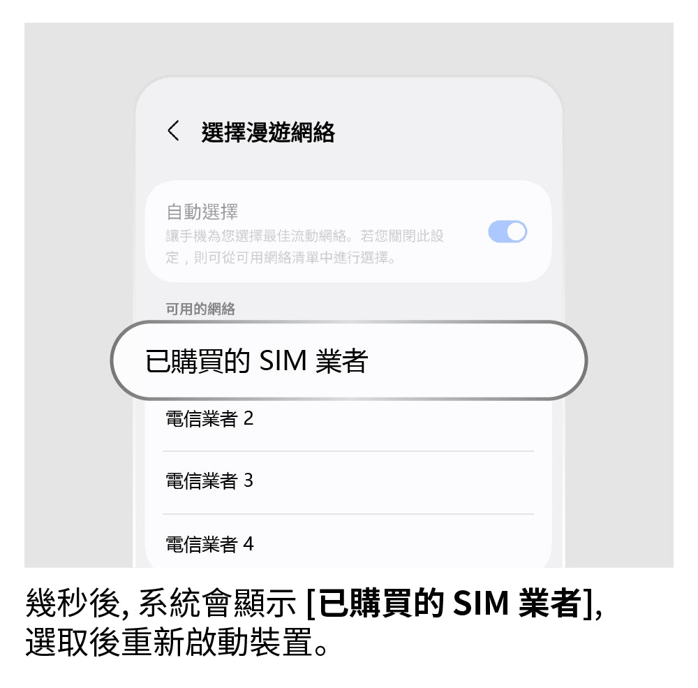 手動選擇網路