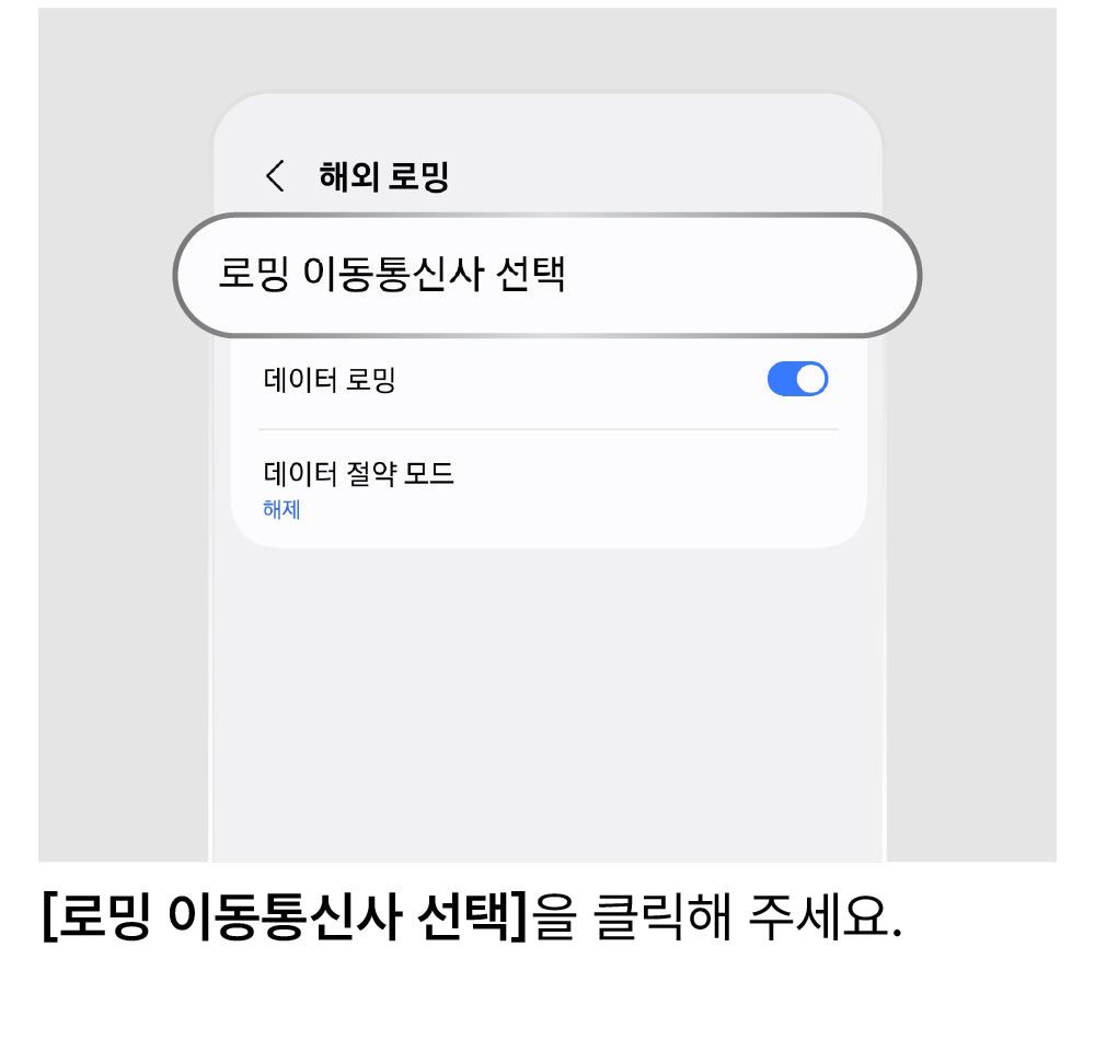네트워크 수동 선택