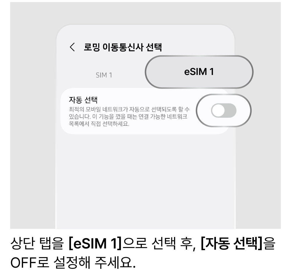 네트워크 수동 선택