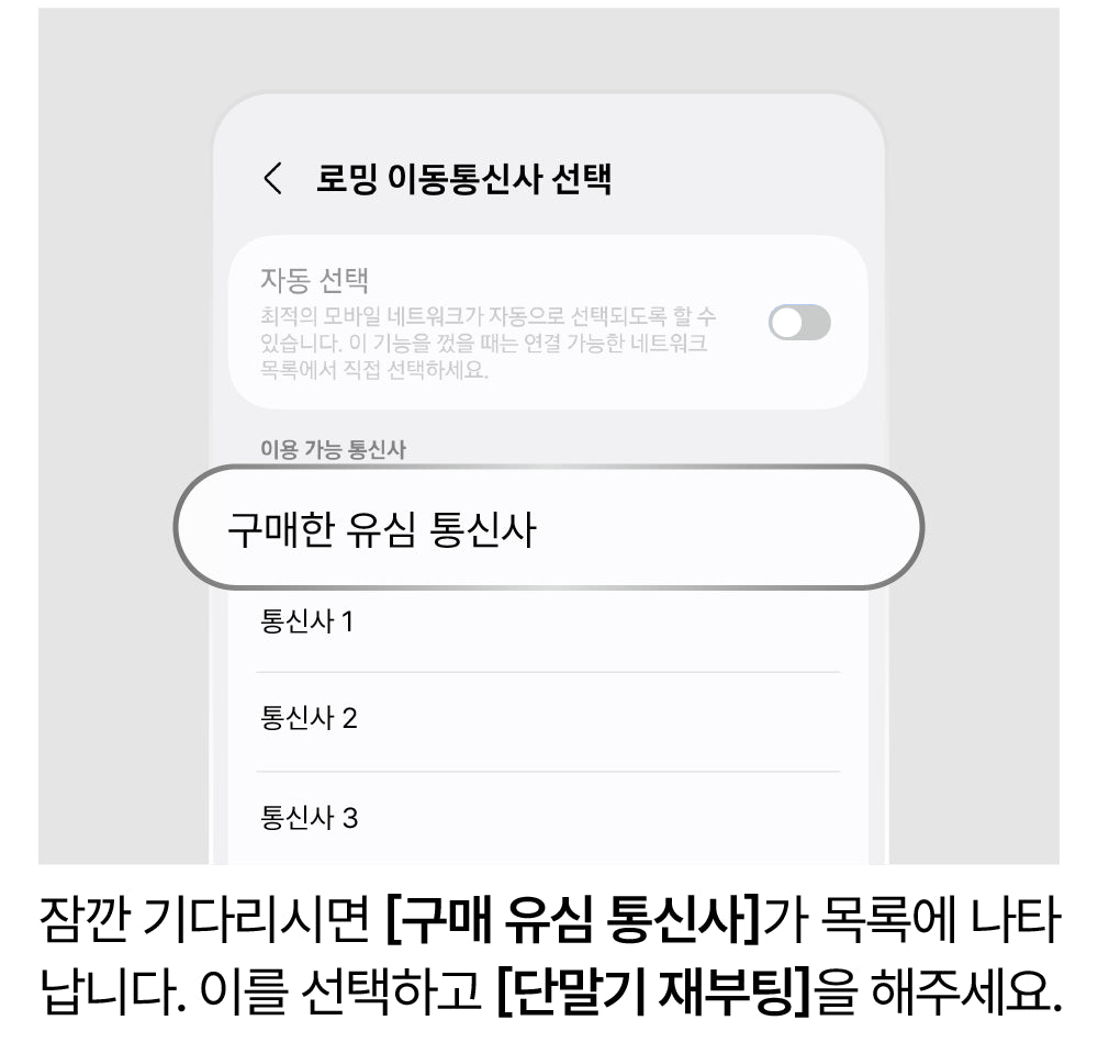 네트워크 수동 선택