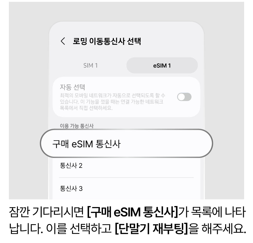 네트워크 수동 선택