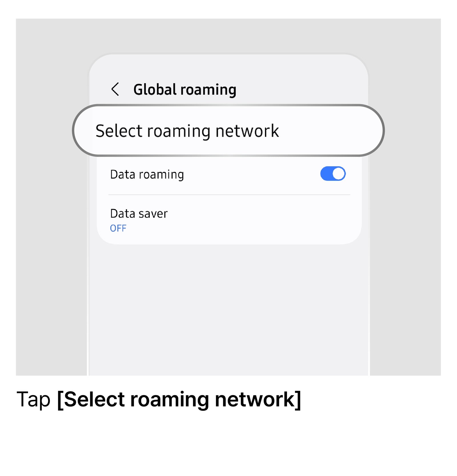 Manually Select a Network