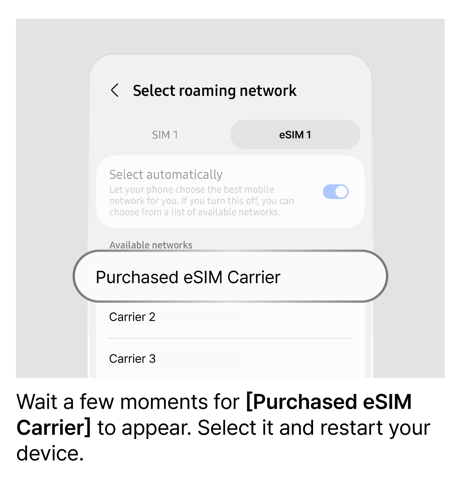 Manually Select a Network