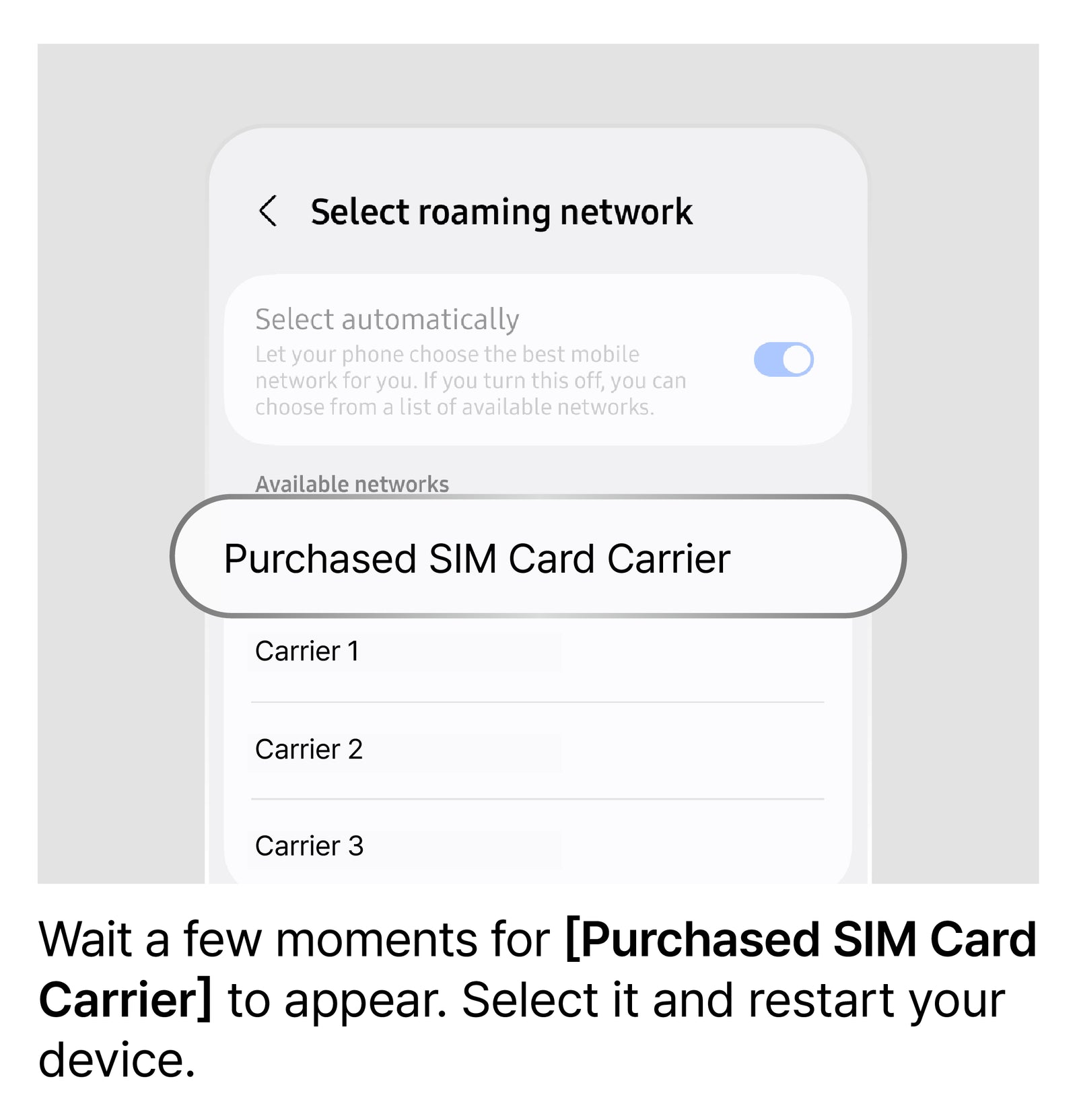 Manually Select a Network