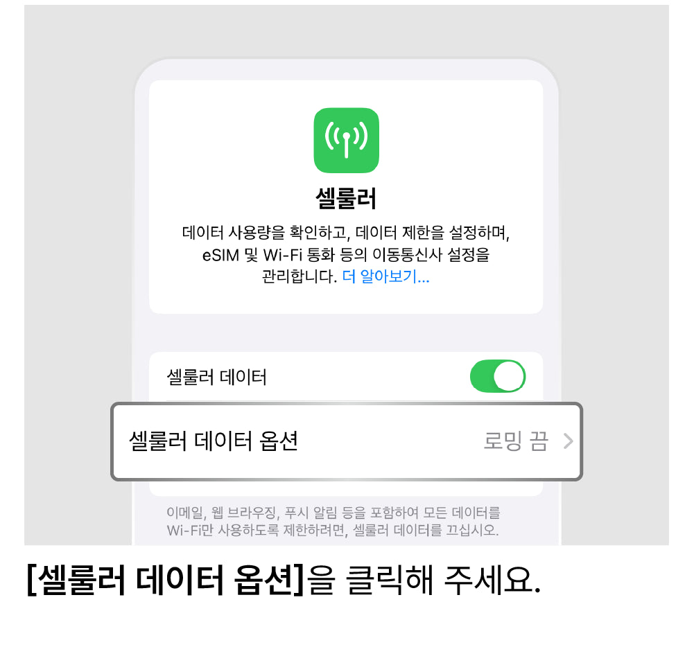 LTE로 설정 변경