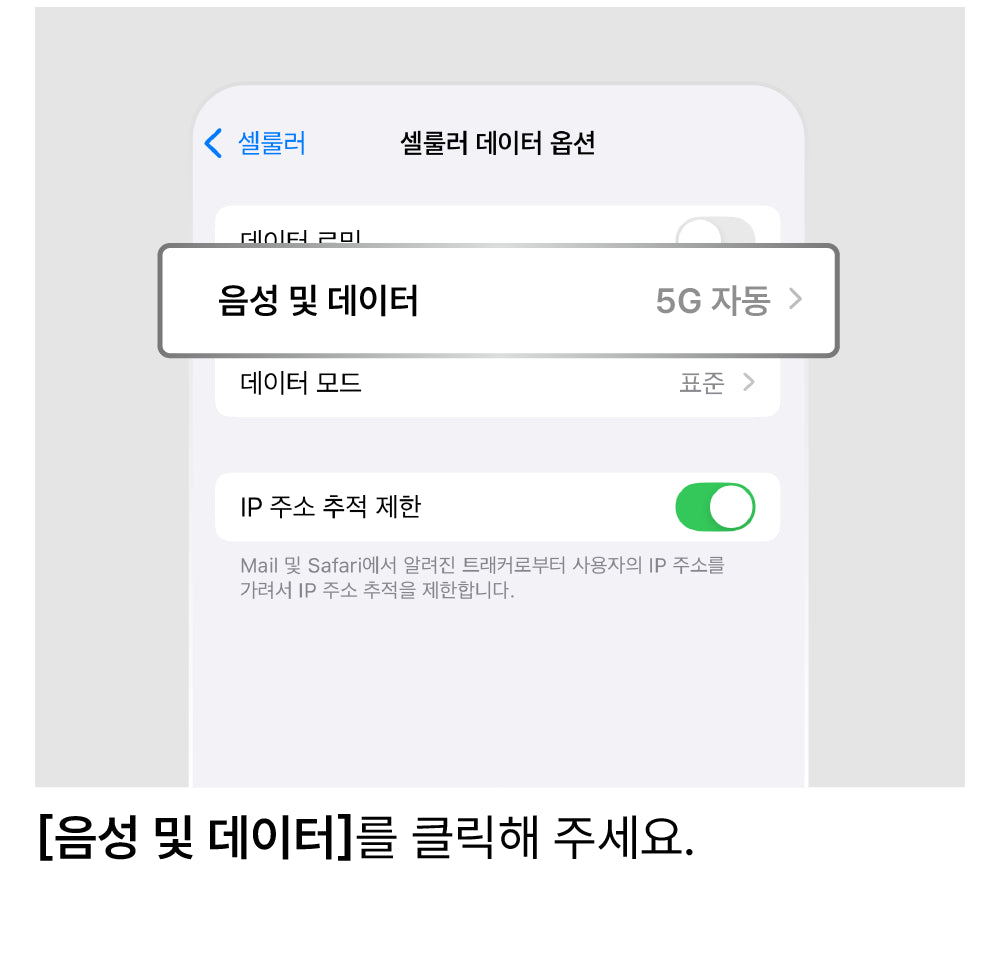LTE로 설정 변경