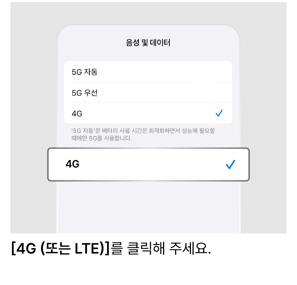 LTE로 설정 변경