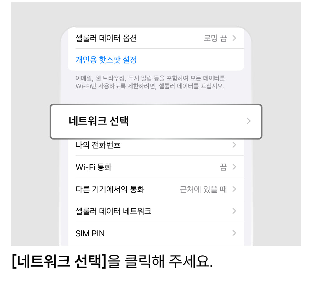 네트워크 수동 선택