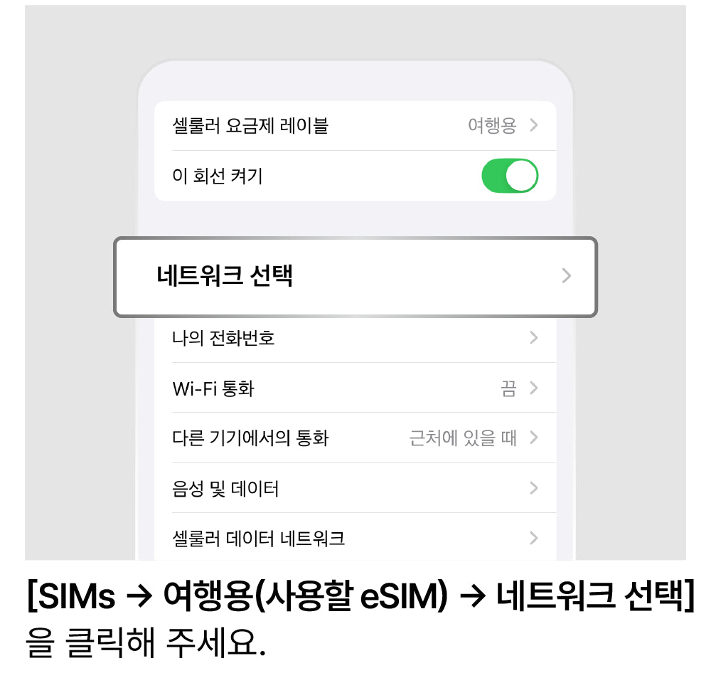 네트워크 수동 선택