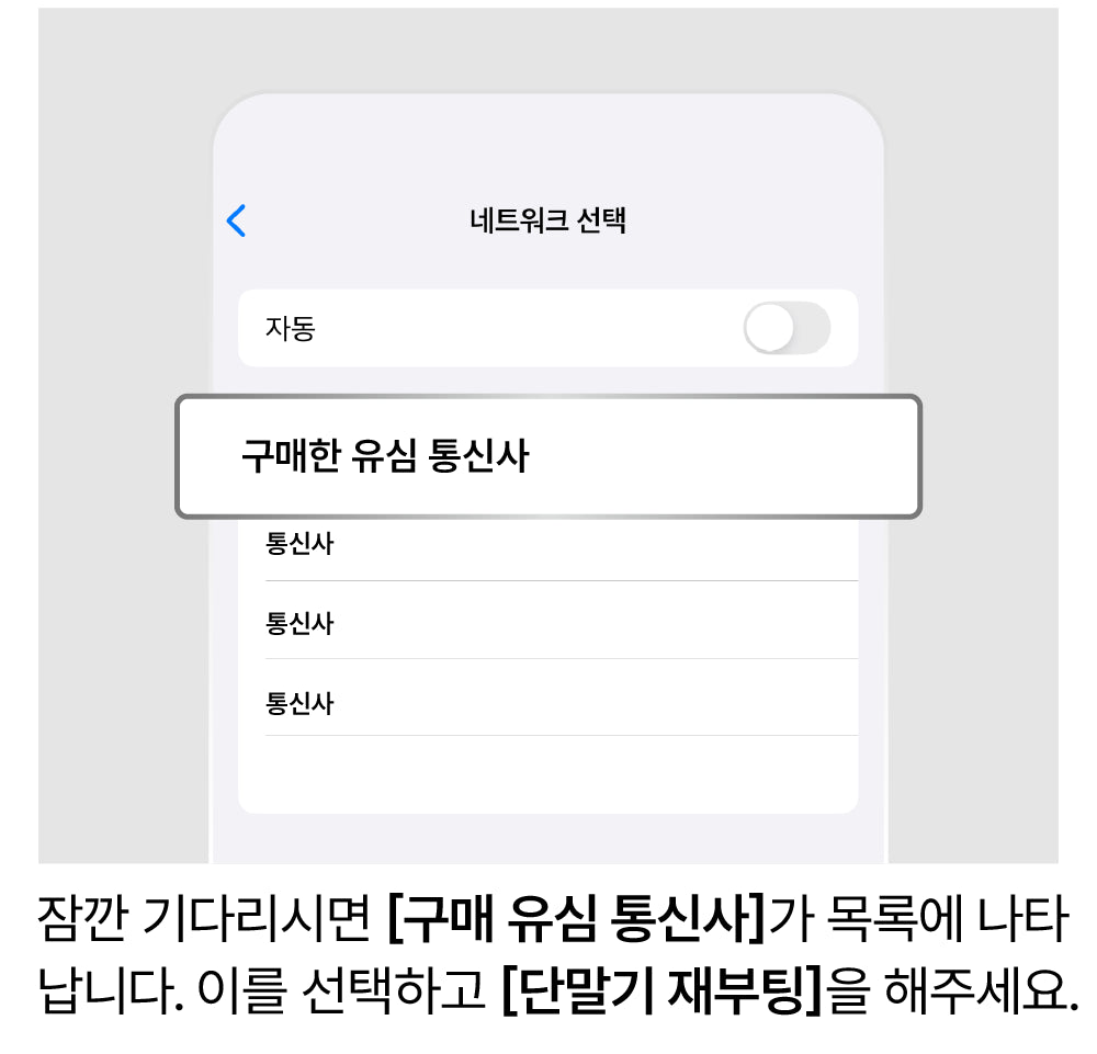 네트워크 수동 선택