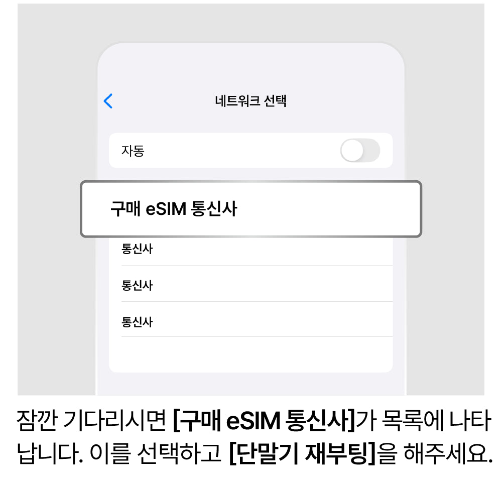 네트워크 수동 선택