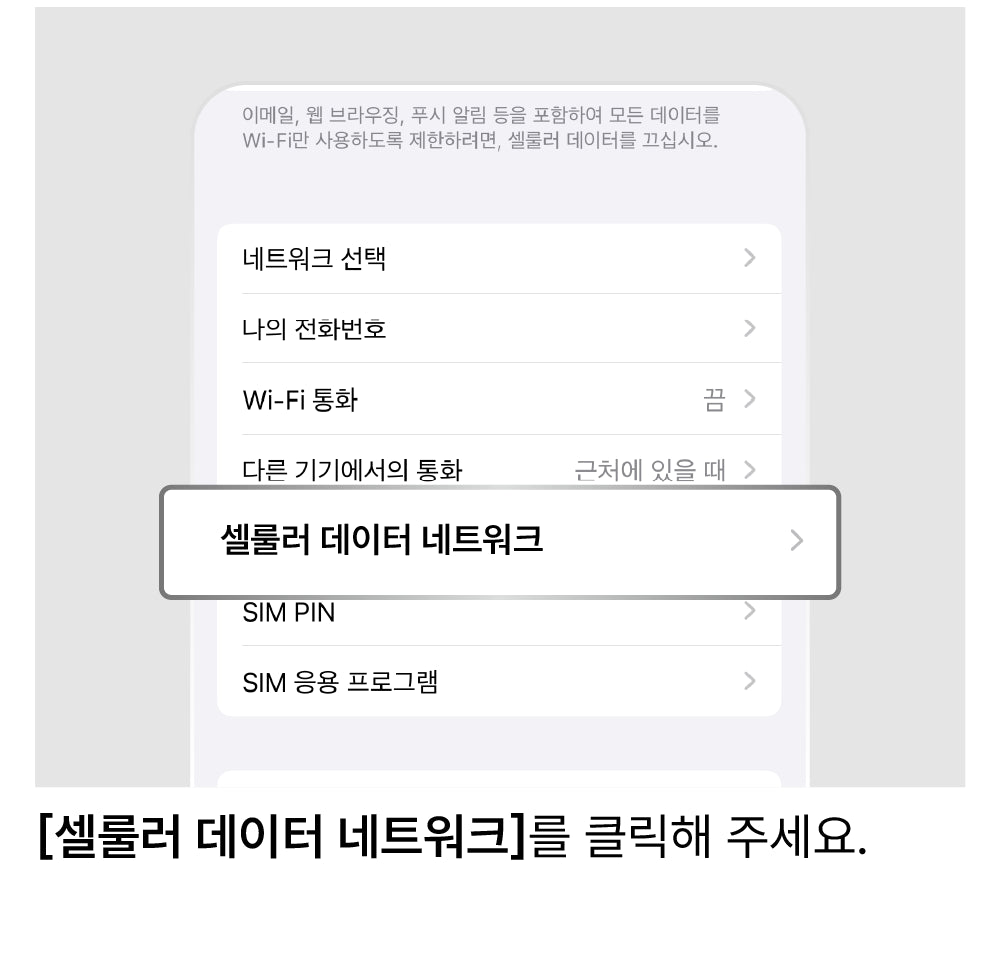 APN 설정