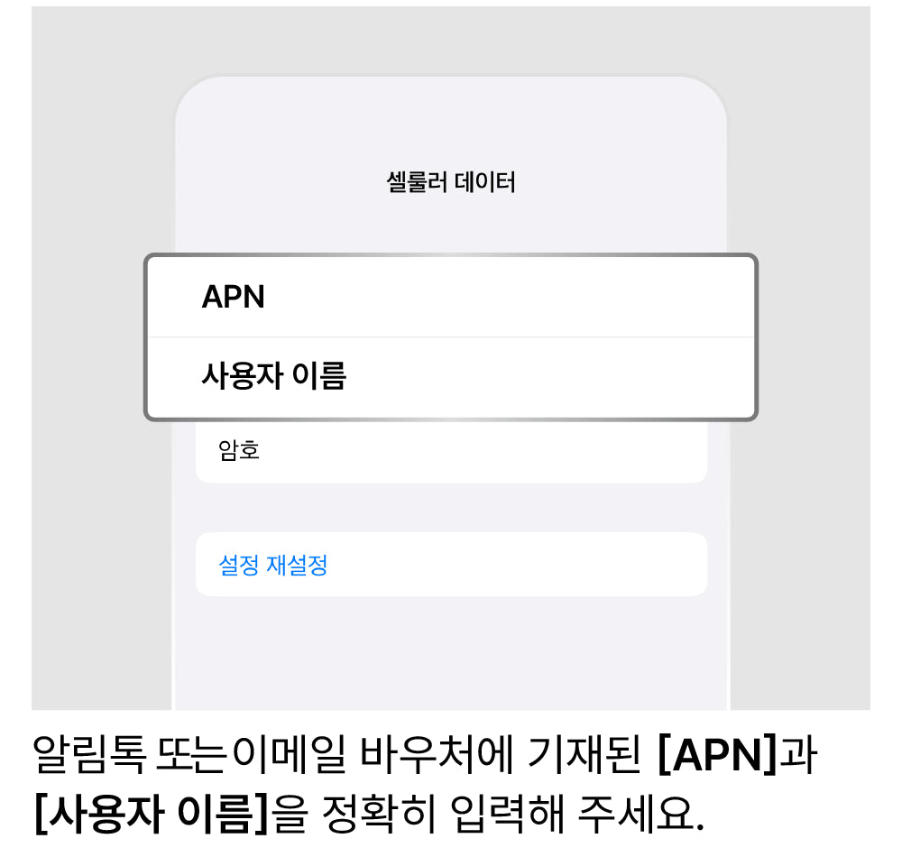APN 설정
