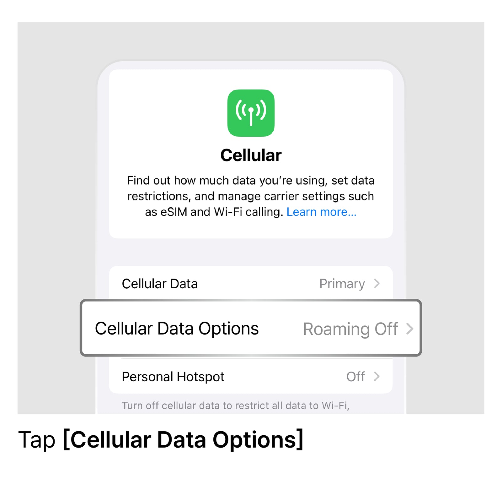 Set LTE as the Preferred Mode