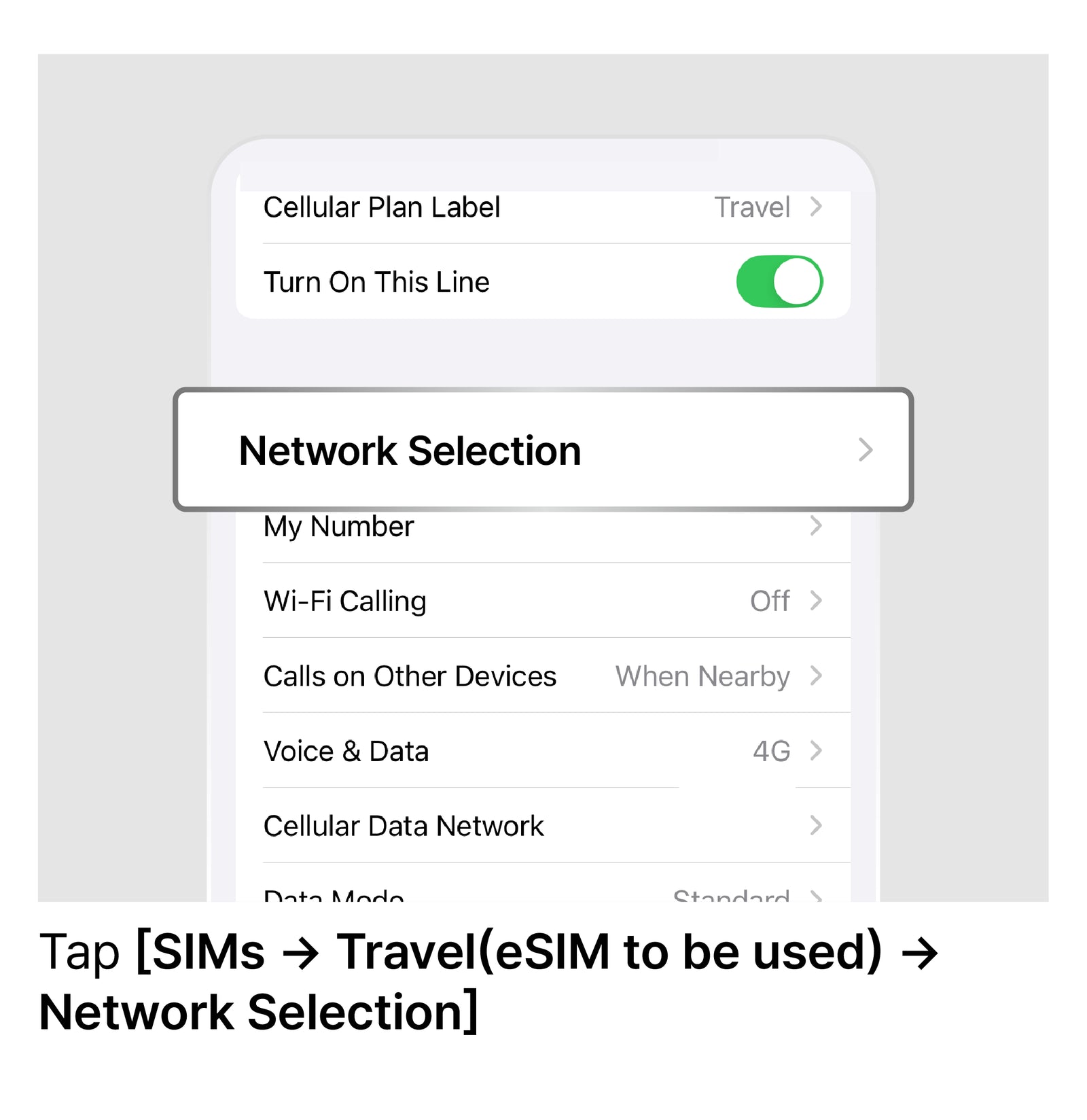 Manually Select a Network