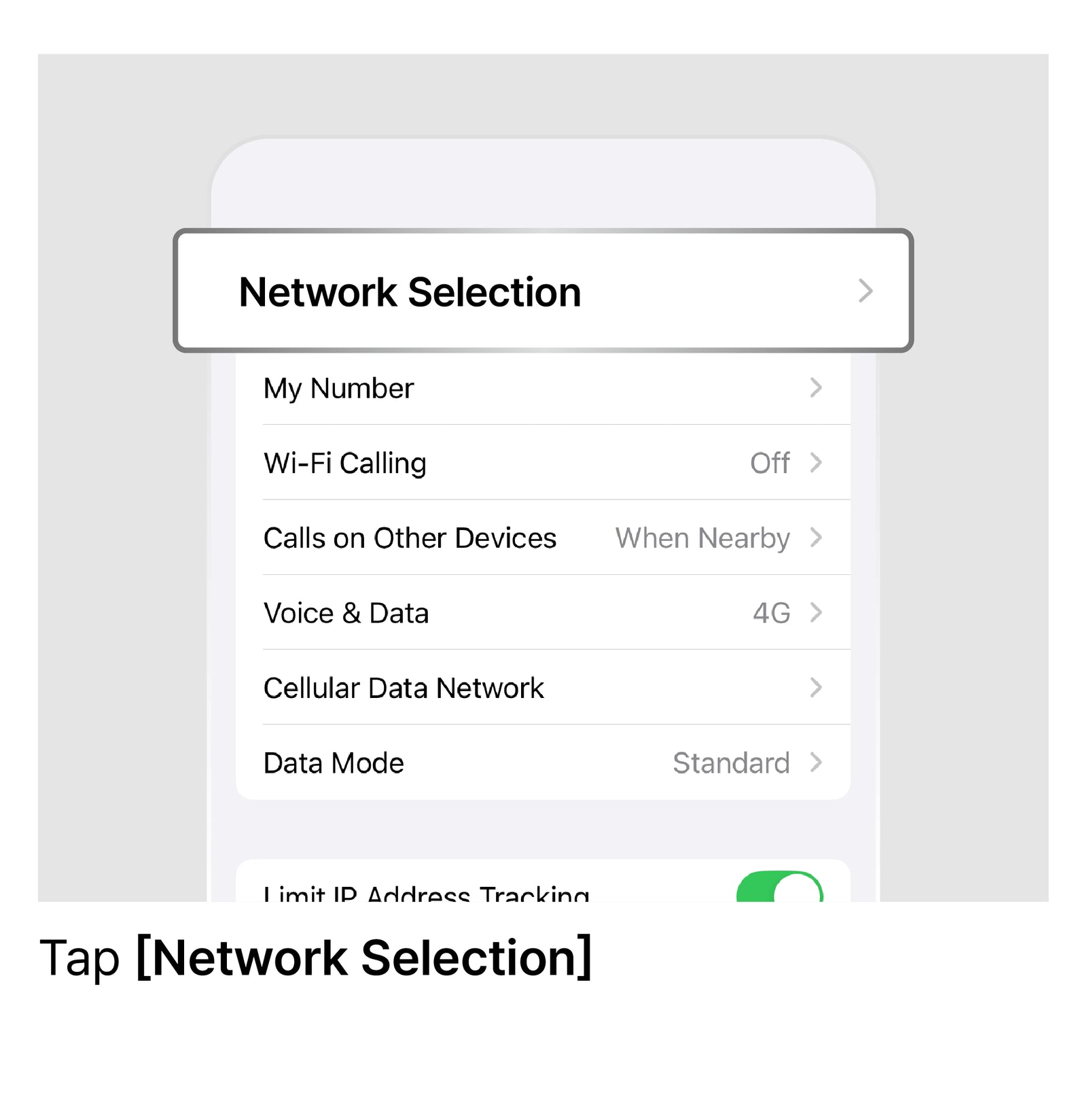 Manually Select a Network