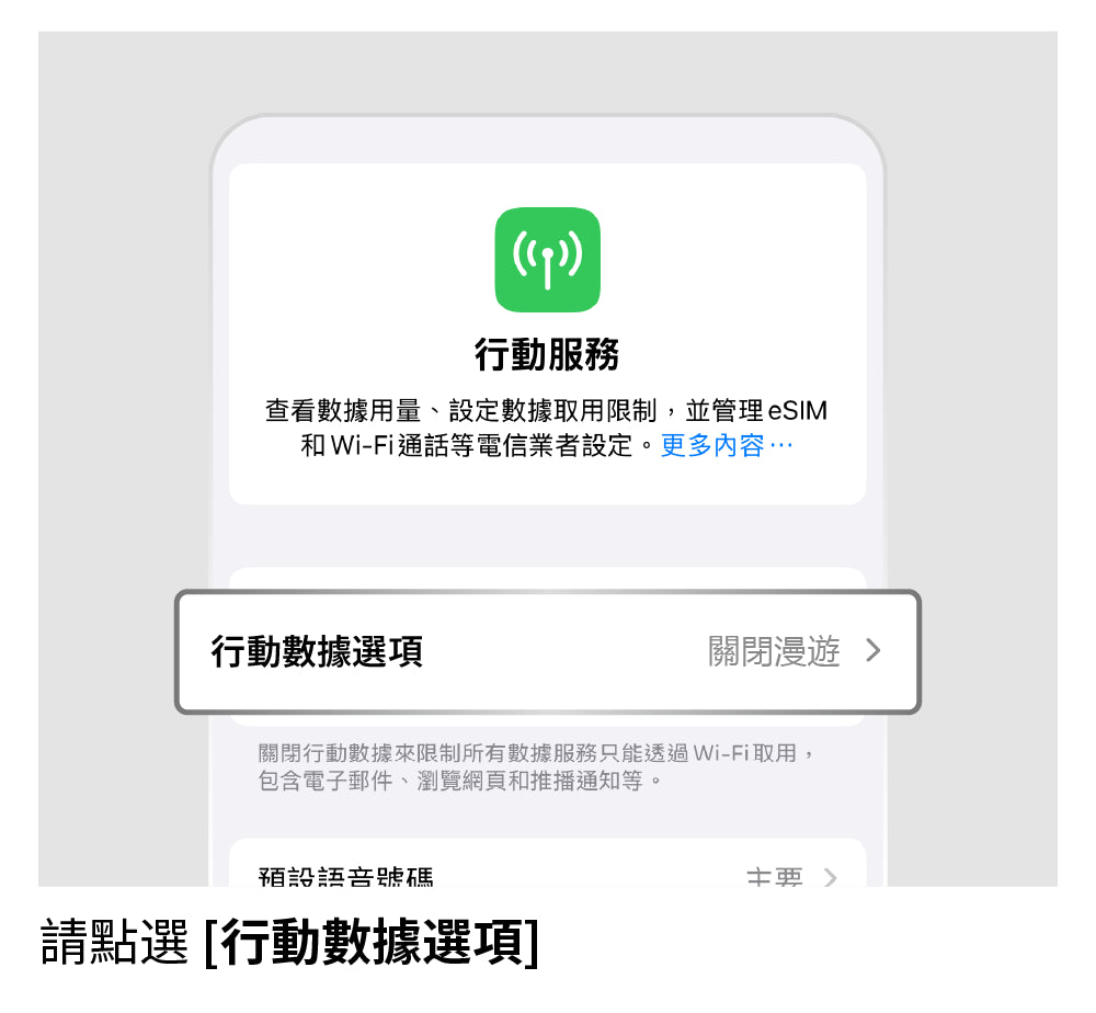 切換至 LTE