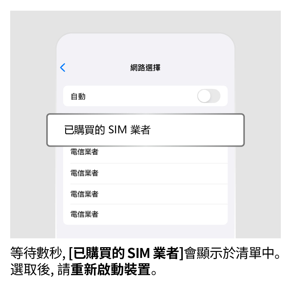 手動選擇網路
