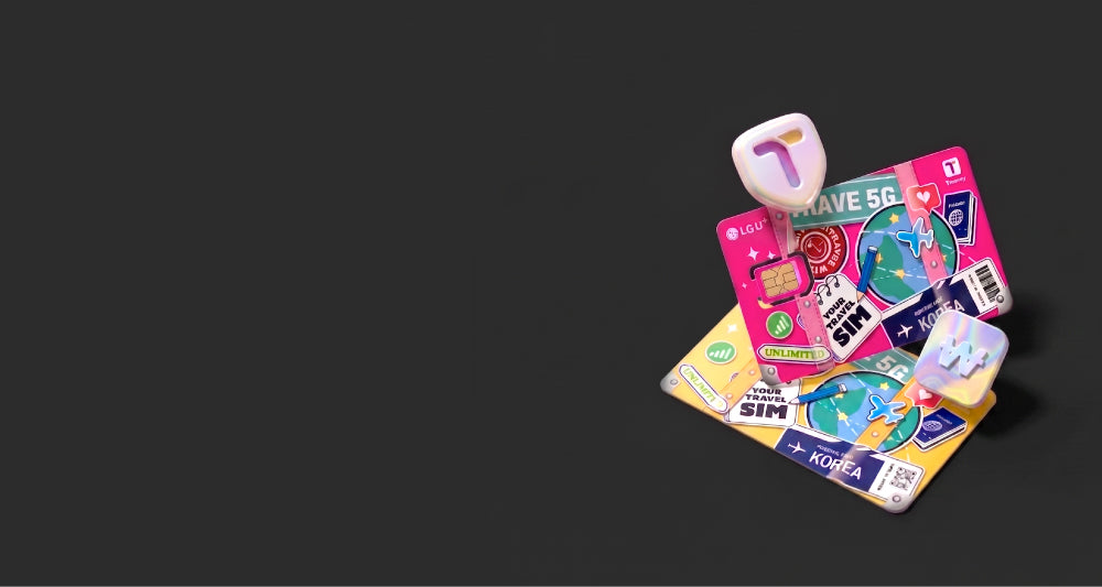 Tmoney Card Provided